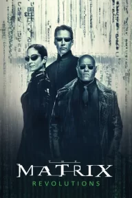 Matrix Revolutions